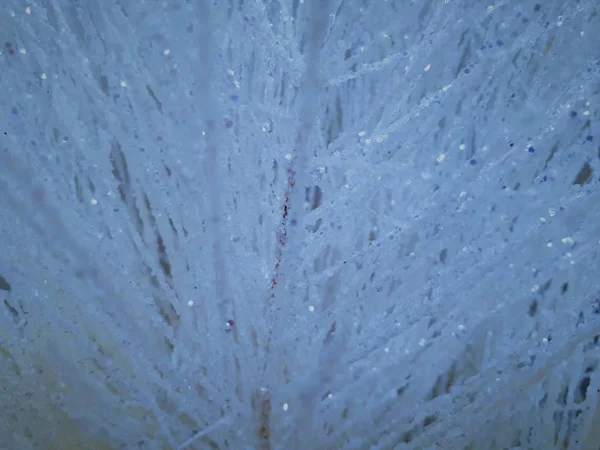  Karlı ağaç dallarının bulanık / bokeh efektli soyut dekoratif arkaplanının yakın plan görüntüsü