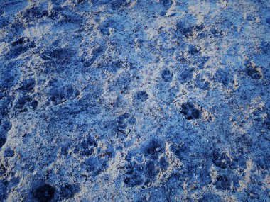 Bokeh etkisi ve karakteristik kaba gözenekli doku ile dünya yüzeyine yakın çekim, soyut koyu ve klasik mavi arka planda açık noktalar.