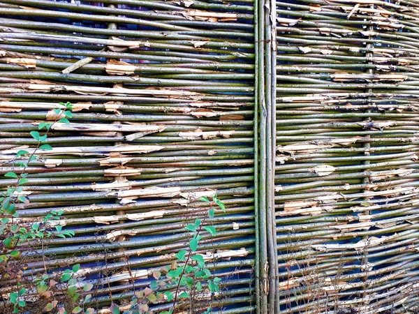 Gros Plan Mur Abstrait Bois Avec Taches Flou Conception Pour — Photo