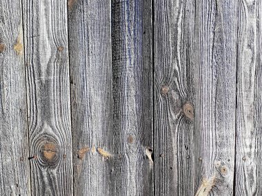 Ahşap, soyut bir duvara yakın plan, lekeli ve bulanık. Duvar kağıtları, kartlar, arkaplanlar için tasarım