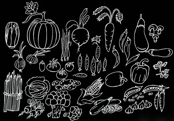 鉛筆と水彩絵具で描く 野菜のセット バナー パターン カバー 背景のデザイン — ストック写真