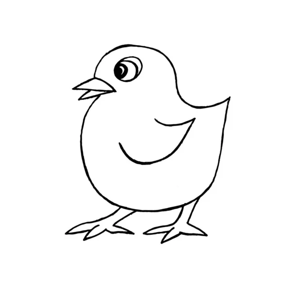Vektorbild Nahaufnahme Eines Kleinen Huhns Auf Einem Isolierten Weißen Hintergrund — Stockfoto
