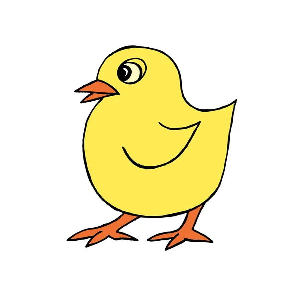 Vector Image Close Little Chicken Isolated White Background Design Greeting — 스톡 사진