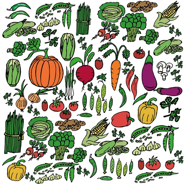 Illustration Vectorielle Ensemble Légumes Différentes Couleurs Conception Pour Les Couvertures — Photo