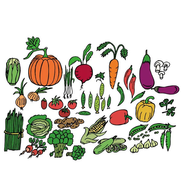 Векторная Иллюстрация Шаблон Разноцветных Овощей Фон Дизайна Текстиль Печати — стоковое фото