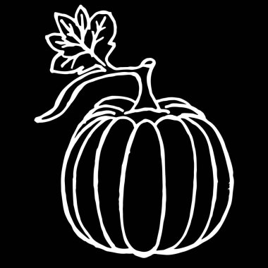 İzole edilmiş siyah arkaplanda yakın plan sebze kabağı.