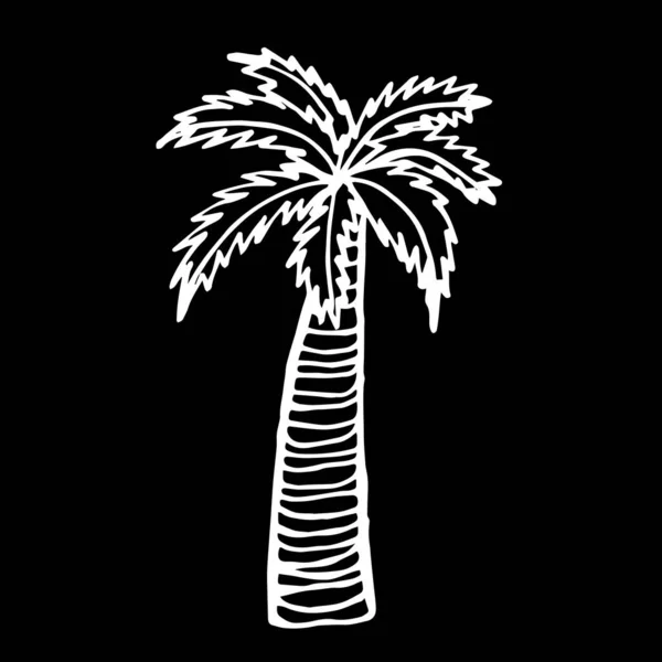 Detailní Záběr Palmy Izolovaném Černém Pozadí Obal Design Potisk Oblečení — Stock fotografie