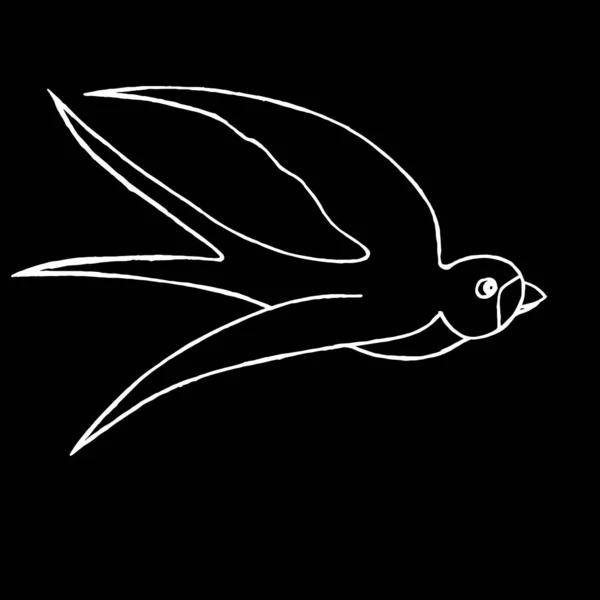 Крупный План Птицы Полете Черном Изолированном Фоне Дизайн Открыток Обложек — стоковое фото