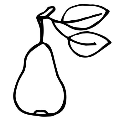 İzole edilmiş beyaz bir armut armut meyvesi. Boyama kitapları, kapaklar, basılı giysiler için tasarım..