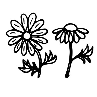 Close-up abstract plant on isolated white background.Design of children`s tattoos, coloring books, covers, print clothes.