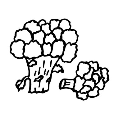  Sebze yakın plan, izole edilmiş beyaz arka plan brokoli. Renk, kapak, kıyafet baskısı için dizayn edilmiş..