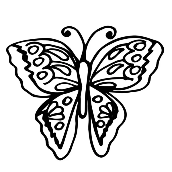 Close Abstract Butterfly Isolated White Background Design Children Tattoos Coloring — Zdjęcie stockowe