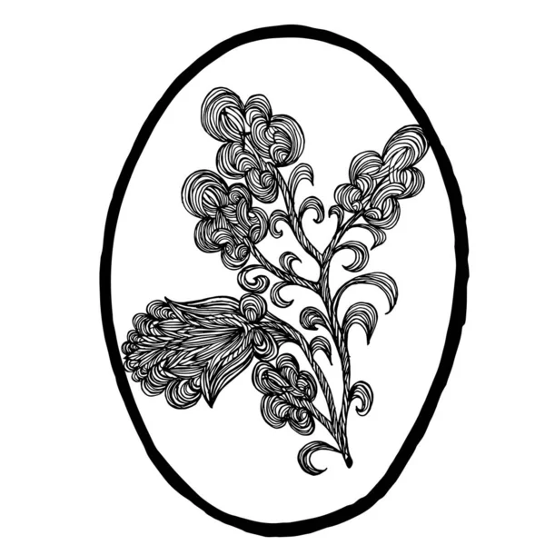 Dibujo Huevo Pascua Con Patrón Floral Fondo Blanco Aislado Diseño —  Fotos de Stock