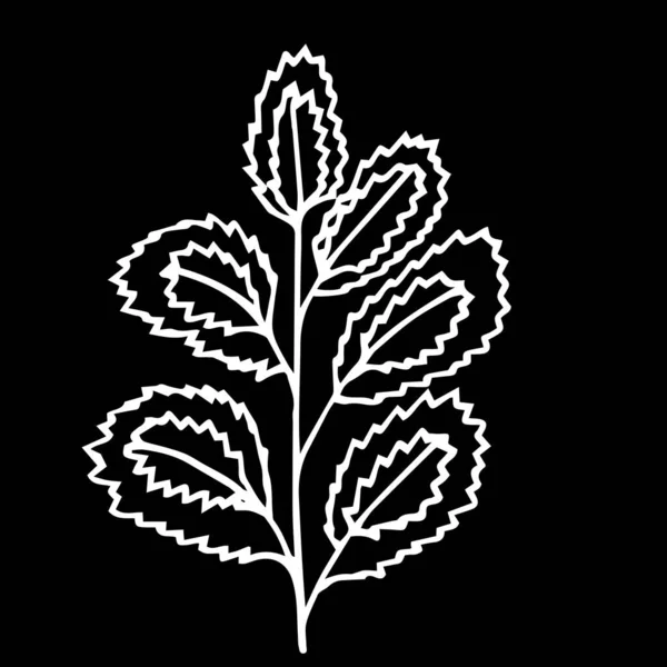 Close-up hand-drawn plant, abstract flower on isolated black background.Design for covers, tattoo, wallpaper.