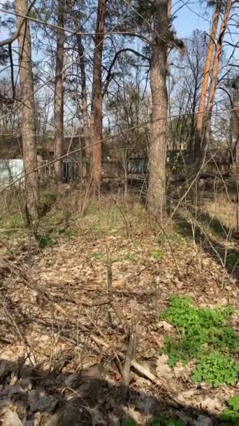 Abandoned Destroyed Buildings Forest Area Springtime — Stock Video