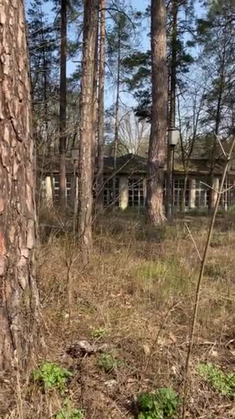 Abandonné les bâtiments détruits dans une zone forestière au printemps .