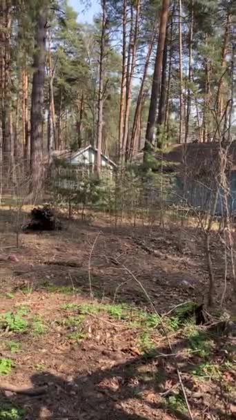 Verlassene Zerstörte Gebäude Einem Waldgebiet Frühling — Stockvideo