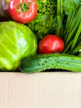 Yiyecek, taze sebze ve otlarla dolu büyük bir kutu..