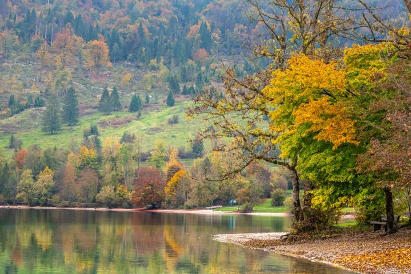 Beautiful autumn trees by lakeside. — Stock Photo, Image