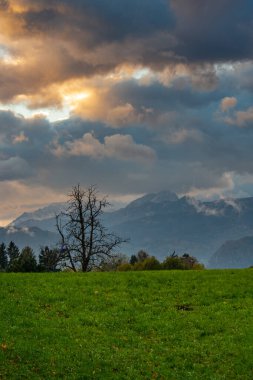 Gün batımında turuncu bulutlar, arka planda dağlar ve önde yeşil vadide yalnız ağaçlar.