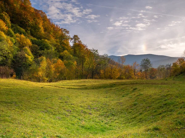 Зеленая долина в осеннем лесу - красивый пейзаж — стоковое фото