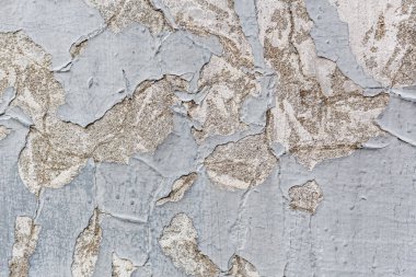 İğrenç beton duvar boyası arka planda soyuluyor.