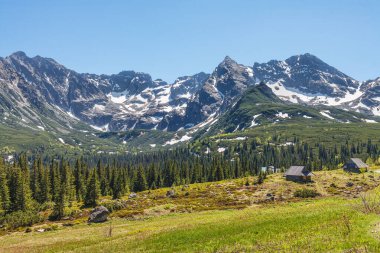 Baharda yeşil köknar ve karlı kayalarla güneşli dağlar.