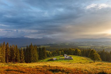 Güneşli dağlardaki altın ormanlara bak.