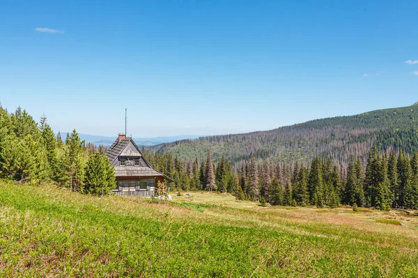 Ξύλινη καμπίνα στο καταπράσινο λιβάδι σε ηλιόλουστη μέρα χωρίς σύννεφα στο δάσος των βουνών — Φωτογραφία Αρχείου