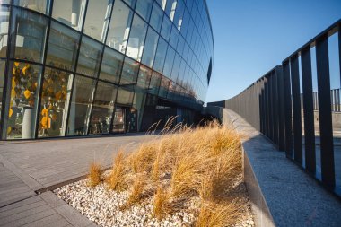 Krakow, Polonya - 3 Ocak 2019: Çağdaş yapının bir kısmı ve yakınlarda büyüyen sarı çimenler.