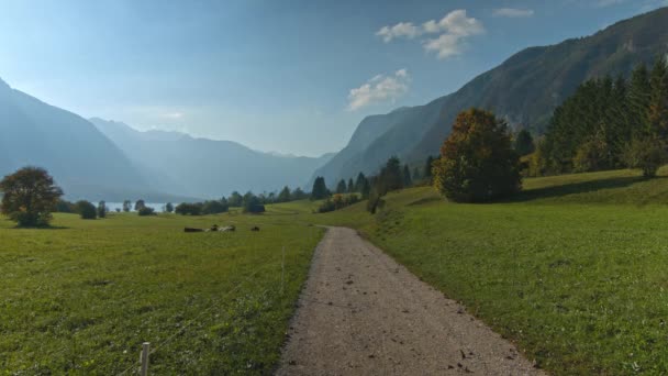 Country road to the Bohinj Lake. Green valley. Mountains landscape — Stock Video