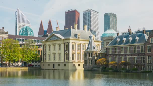 Binnenhof with fountain in pond. — Stock Video