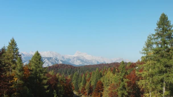 Pohled na podzimní alpský les a pohoří. Záběry 4k. — Stock video