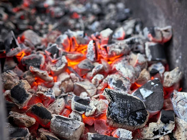 Salsichas de carne grelhadas vermelhas empilham e assam pimenta vermelha em bandejas — Fotografia de Stock
