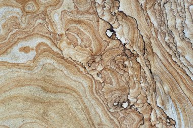 Ağaç dokusunun ahşap kesiti ve eşsiz desenli arkaplan