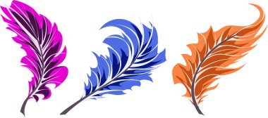 Pembe, mavi, turuncu tüy farklı açılarda beyaz arkaplanda izole edilmiş.