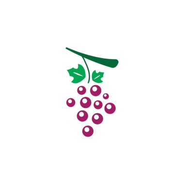Üzüm logo şablonu vektör illüstrasyon tasarımı