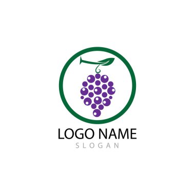 Üzüm logo şablonu vektör illüstrasyon tasarımı