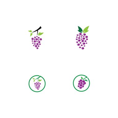 Üzüm logo şablonu vektör illüstrasyon tasarımı
