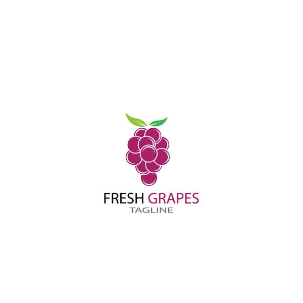 Druiven logo template vector pictogram illustratie ontwerp — Stockfoto
