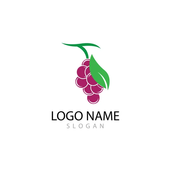 Grapes logo template vector icon illustration design — Stock Photo, Image