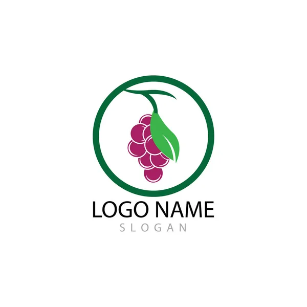 Logo winogron szablon wektor ikona ilustracja projekt — Zdjęcie stockowe