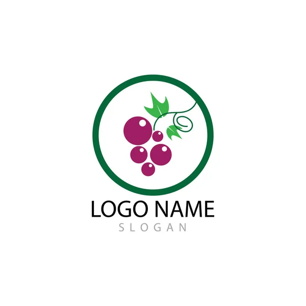 Виноградний шаблон логотипу Векторний дизайн ілюстрації — стокове фото