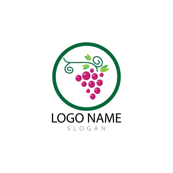 Design de ilustração de ícone de vetor de modelo de logotipo de uvas — Fotografia de Stock