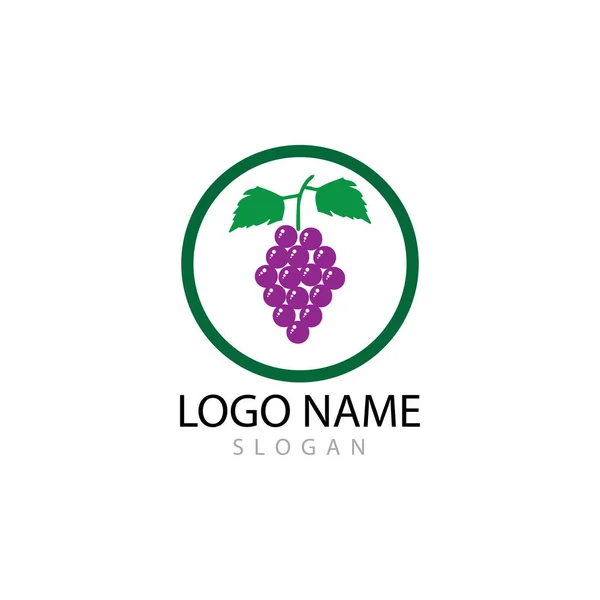 Diseño de ilustración de icono de vector de plantilla de logotipo de uvas — Foto de Stock