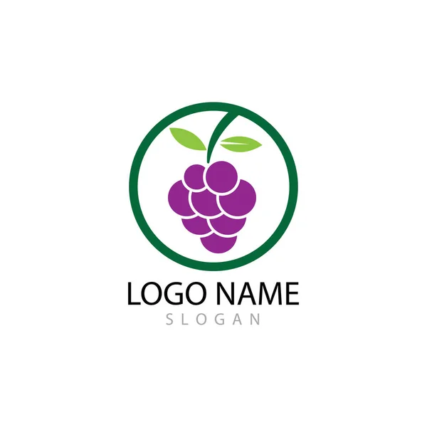Üzüm logo şablonu vektör illüstrasyon tasarımı — Stok fotoğraf