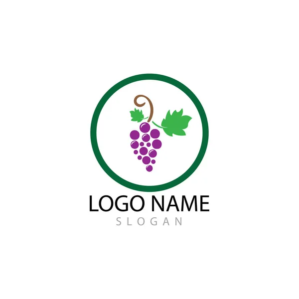 Diseño de ilustración de icono de vector de plantilla de logotipo de uvas — Foto de Stock