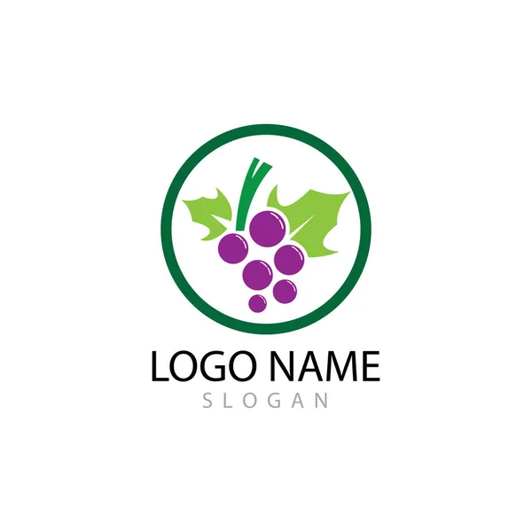 Diseño de ilustración de icono de vector de plantilla de logotipo de uvas —  Fotos de Stock