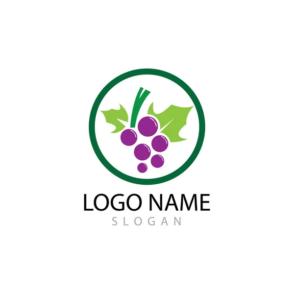 Grapes logo template vector icon illustration design — Stock Photo, Image