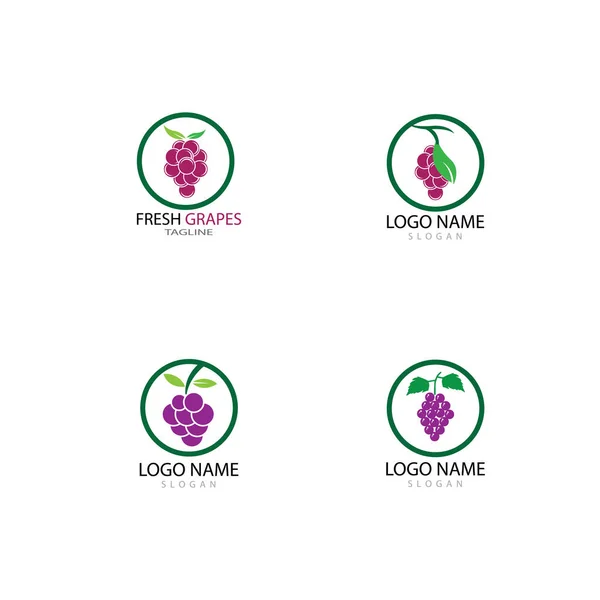 Grapes logo modèle vectoriel icône illustration design — Photo
